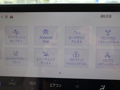 Thumbnail 29