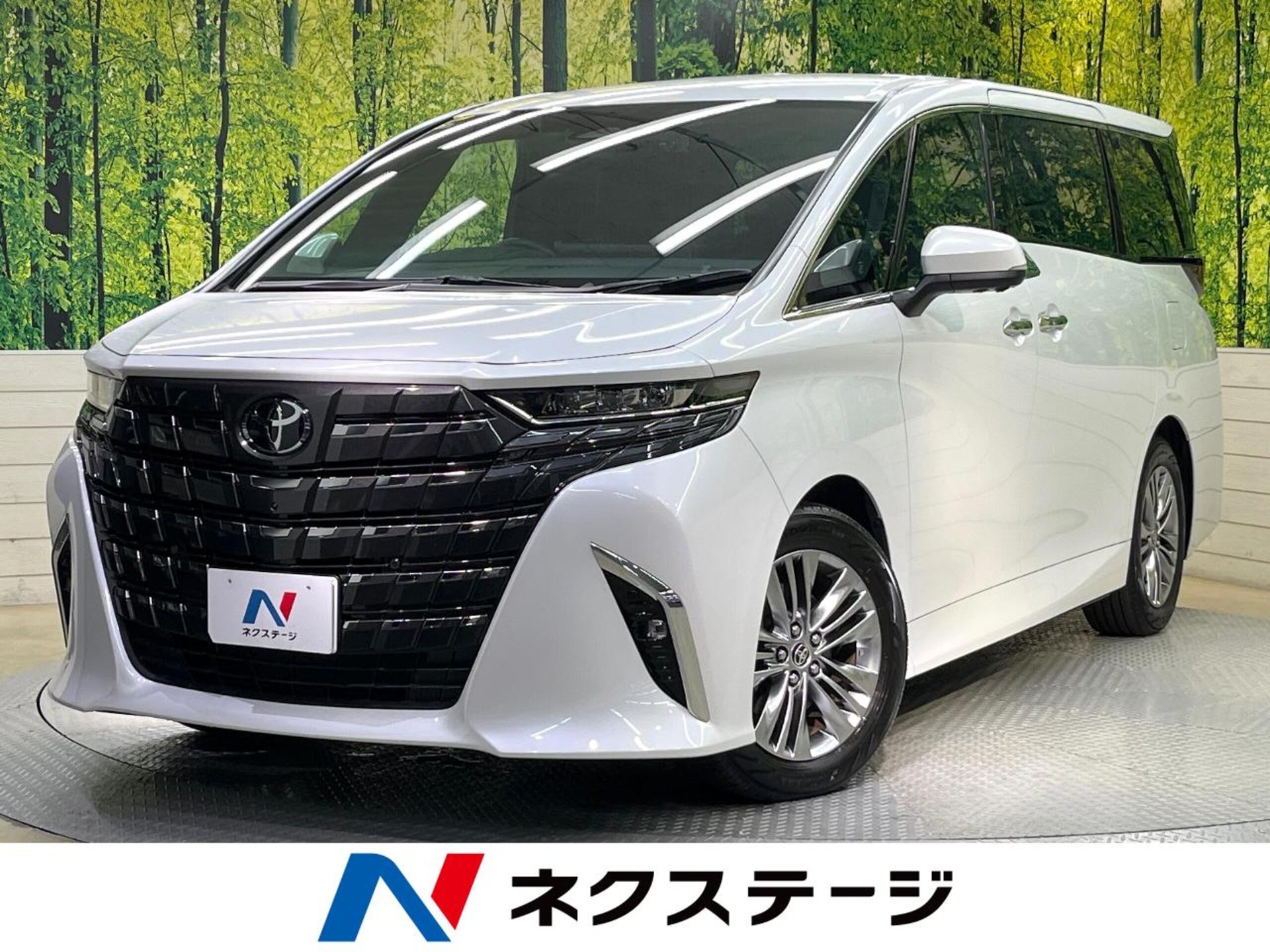 TOYOTA ALPHARD - View 1