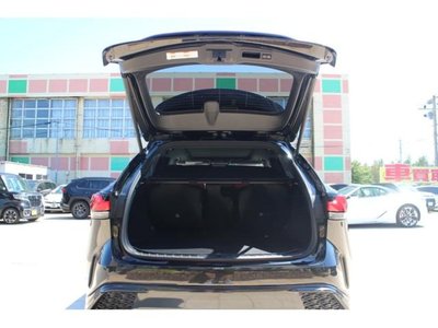 2023 Lexus RX 缩略图 13