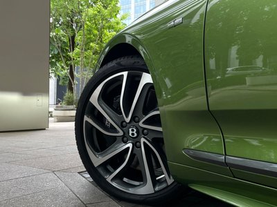 2025 Bentley CONTINENTAL 缩略图 23