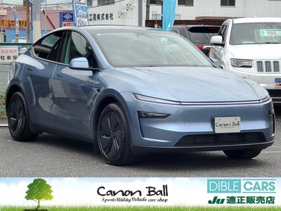 TESLA MODEL Y - 1