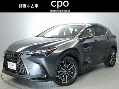 LEXUS NX - 1