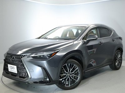 LEXUS NX - 10
