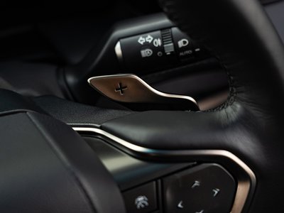 2024 Lexus LM — миниатюра 28