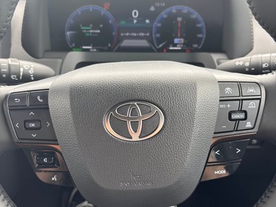 2025 Toyota ALPHARD photo 6