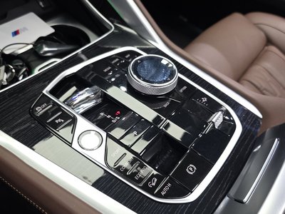 BMW X6 - 9