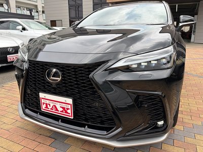 LEXUS NX - 4