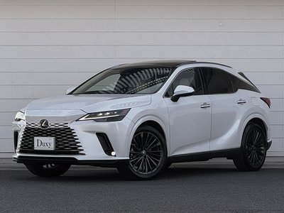 LEXUS RX - 7