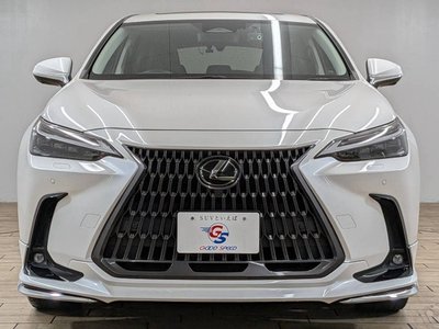 2023 Lexus NX — миниатюра 78