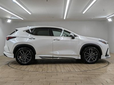 2023 Lexus NX — миниатюра 79