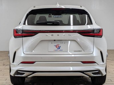 2023 Lexus NX — миниатюра 74