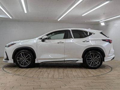 2023 Lexus NX — миниатюра 75