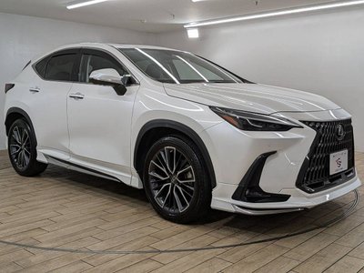 2023 Lexus NX — миниатюра 77