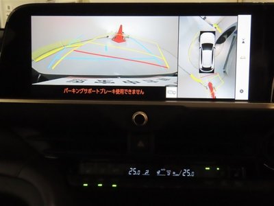 2025 Toyota CROWN SPORT 照片 9
