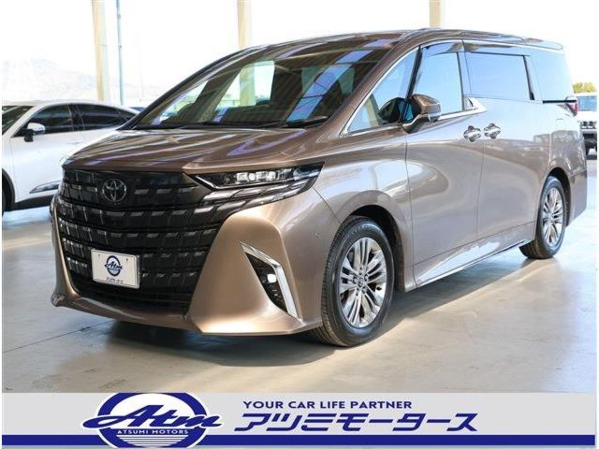 TOYOTA ALPHARD - View 1