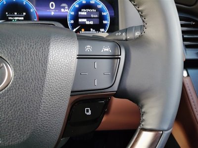 2024 Toyota VELLFIRE thumbnail 33