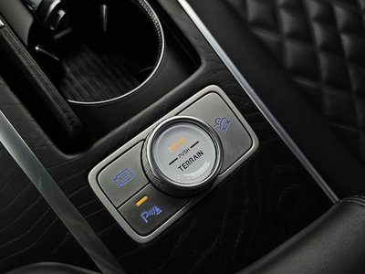 2020 Genesis GV80 缩略图 24