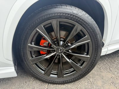 2023 Lexus NX 照片 8