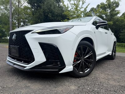 2023 Lexus NX 照片 7