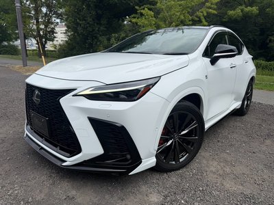 2023 Lexus NX 照片 6