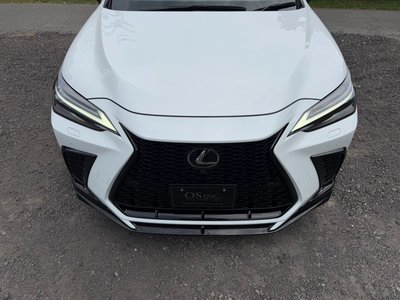 صورة مصغرة 20 لـ 2023 Lexus NX
