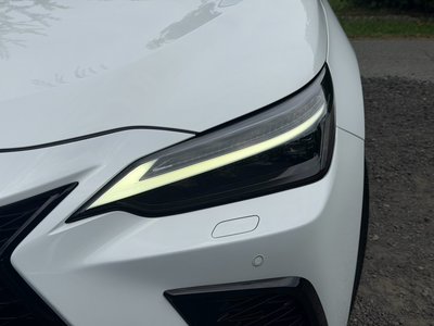 2023 Lexus NX 照片 4