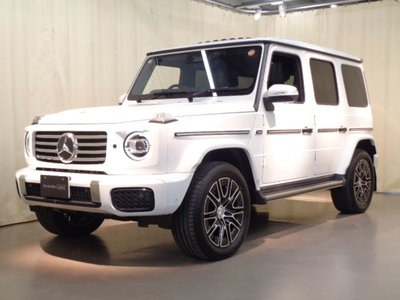 MERCEDES-BENZ G-CLASS - 1