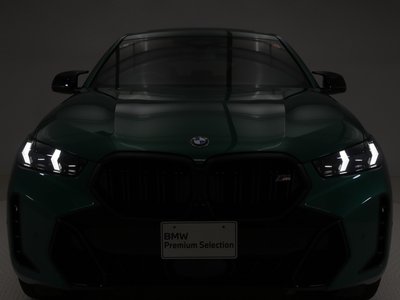 2024 BMW X6 — миниатюра 23
