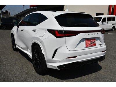 2023 Lexus NX photo 10