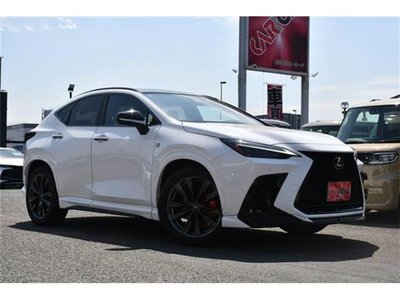 2023 Lexus NX 缩略图 50