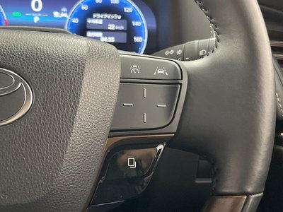 2024 TOYOTA ALPHARD 缩略图 26
