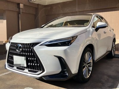 LEXUS NX - 1