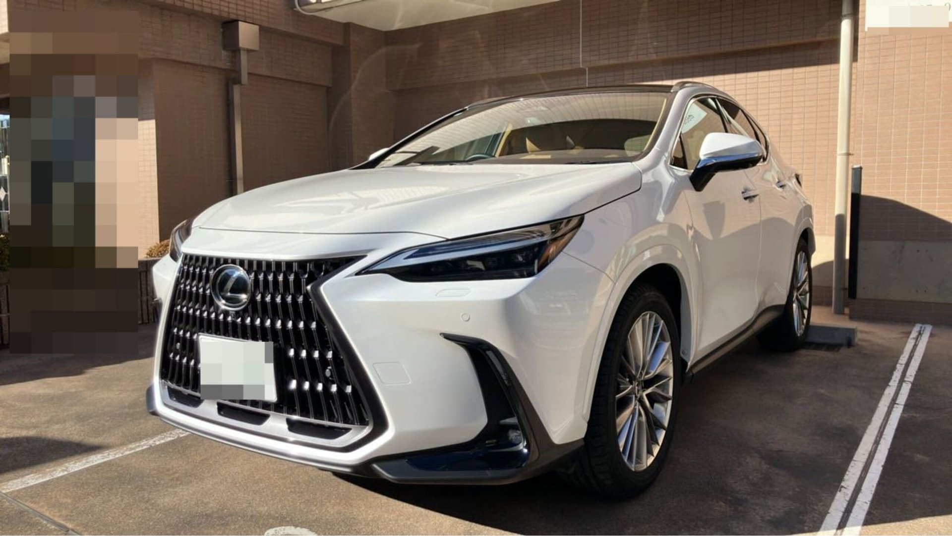 LEXUS NX - View 1