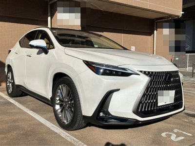LEXUS NX - 3