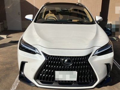 LEXUS NX - 2