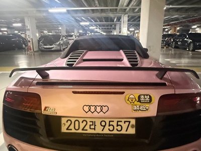 2013 AUDI R8 照片 9