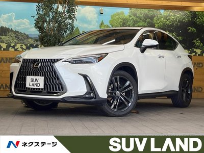 LEXUS NX - 1