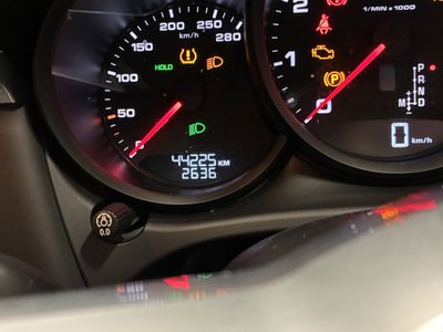 2021 Porsche MACAN 缩略图 12