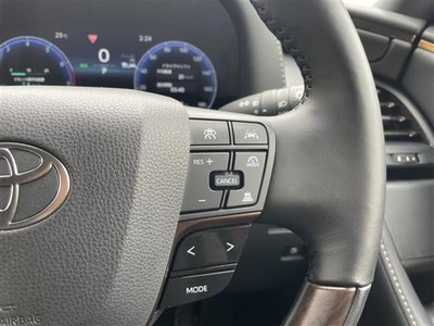TOYOTA ALPHARD - 10