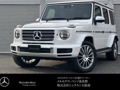 MERCEDES-BENZ G-CLASS - 1