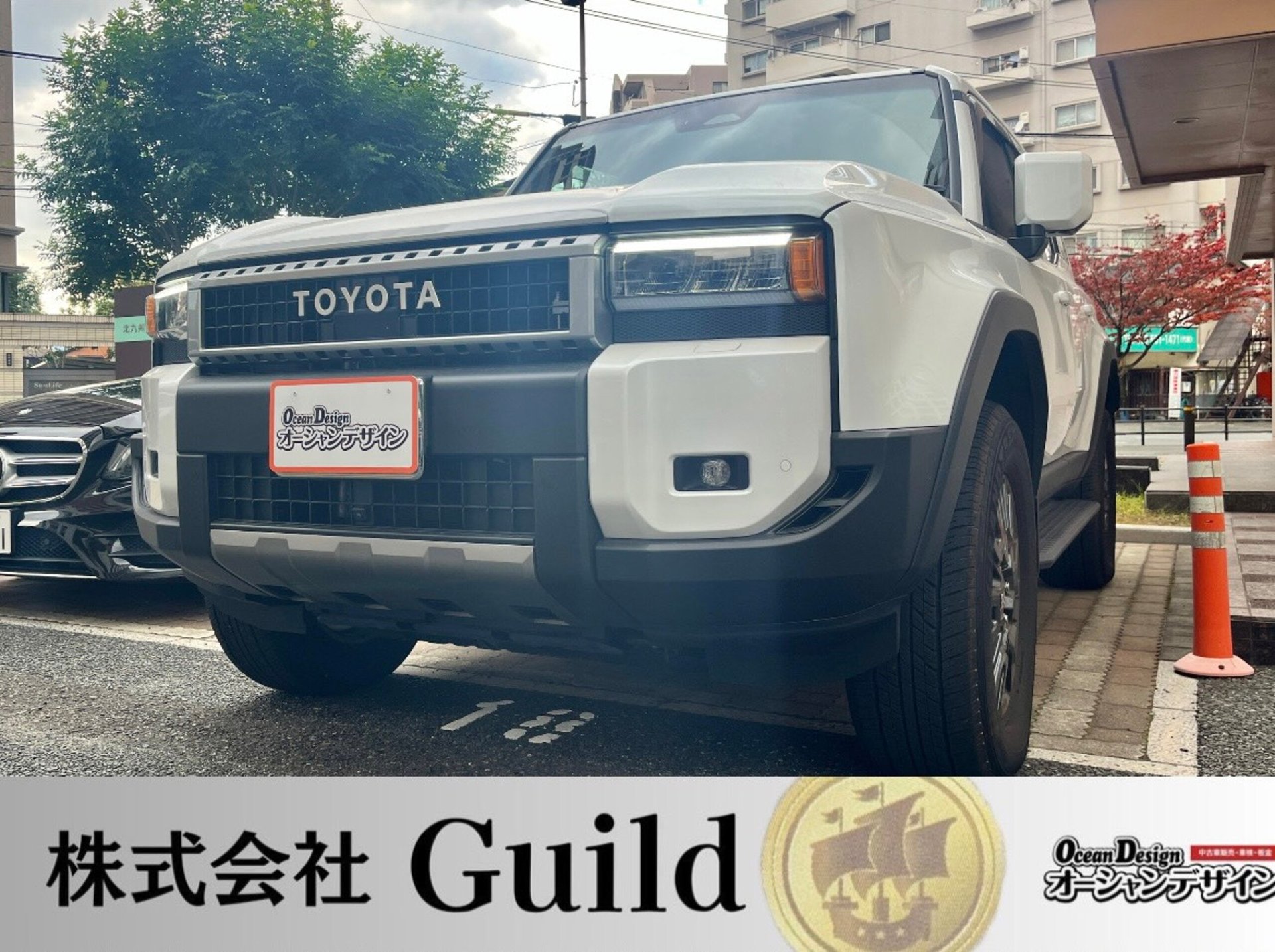 TOYOTA LAND CRUISER 250 - View 1