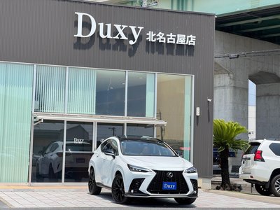 صورة 9 لـ 2024 Lexus NX