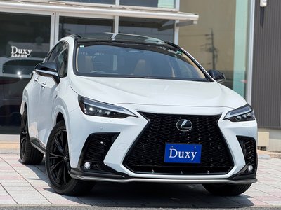 صورة 6 لـ 2024 Lexus NX