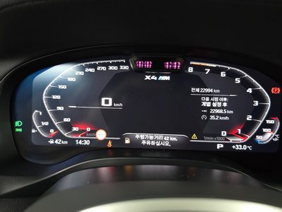 2024 BMW X4 M 照片 8