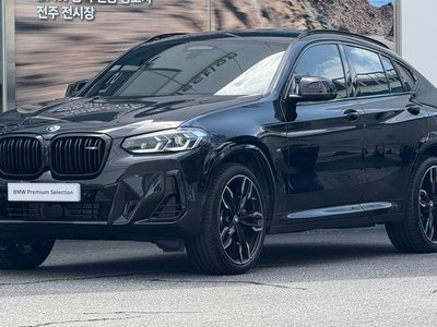 2025 BMW X4 照片 1