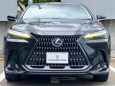 2022 Lexus NX — фото 2