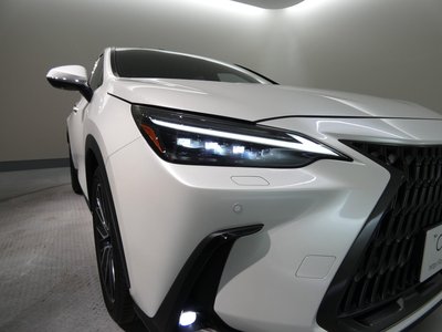صورة مصغرة 44 لـ 2023 Lexus NX
