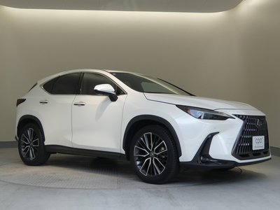 صورة مصغرة 36 لـ 2023 Lexus NX