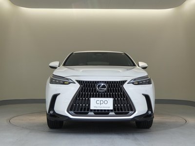 صورة مصغرة 29 لـ 2023 Lexus NX