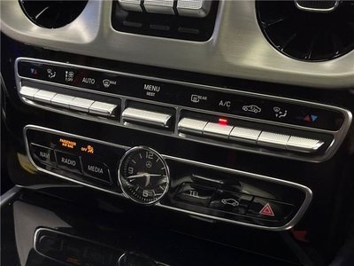 2019 Mercedes-BENZ G-CLASS 缩略图 24